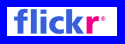 flickr logo zoom whitespace added