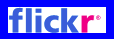 flick logo zoom